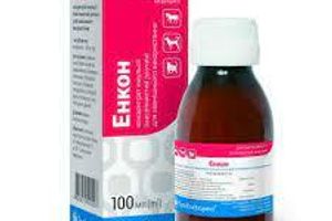 Енкон - ефективний та доступний аналог Імаверолу для боротьби з грибковими інфекціями у собак, котів та коней