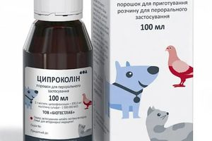 Ципроколін - потужний антибіотик для ефективного лікування тварин