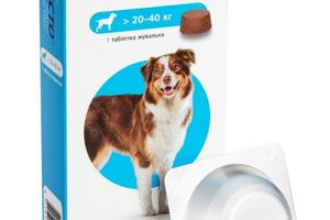 Жувальні таблетки для собак проти бліх та кліщів Бравекто