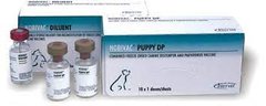 Вакцина Нобівак PUPPY DP 1 доза MSD ( США) 2837 фото