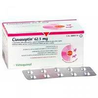Клавасептин 62,5 мг таблетки №10, Ветокінол (Франція) 2309201804 фото