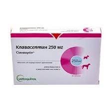 Клавасептин 250 мг таблетки со вкусом печени №10, Ветокинол (Франция) 2309201803 фото