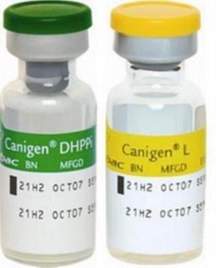Вакцина Каніген DHA2PPi/L для собак Virbac   2007201963 фото